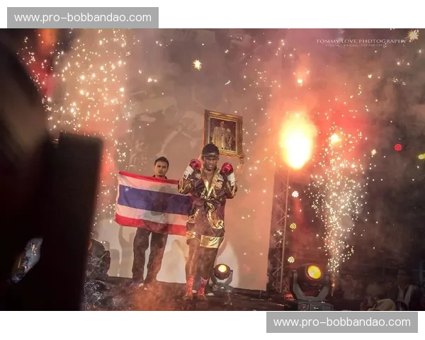 跨世纪格斗狂想曲：当“泰拳王子”播求撞上“铁人”泰森，谁才是人类站立武力的天花板？